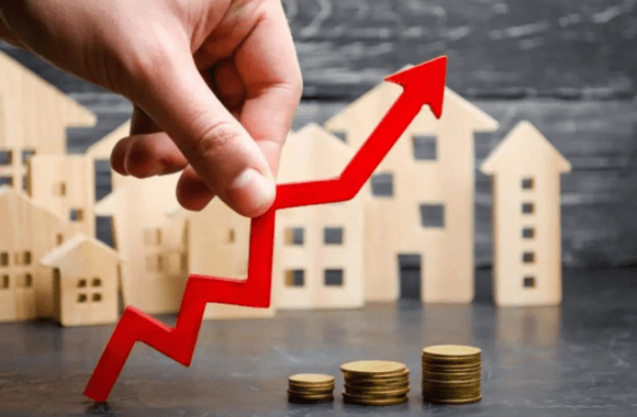 property portfolio consultation